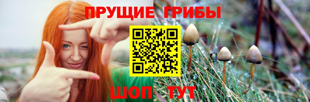 Галлюциногенные грибы Magic Shrooms Гай